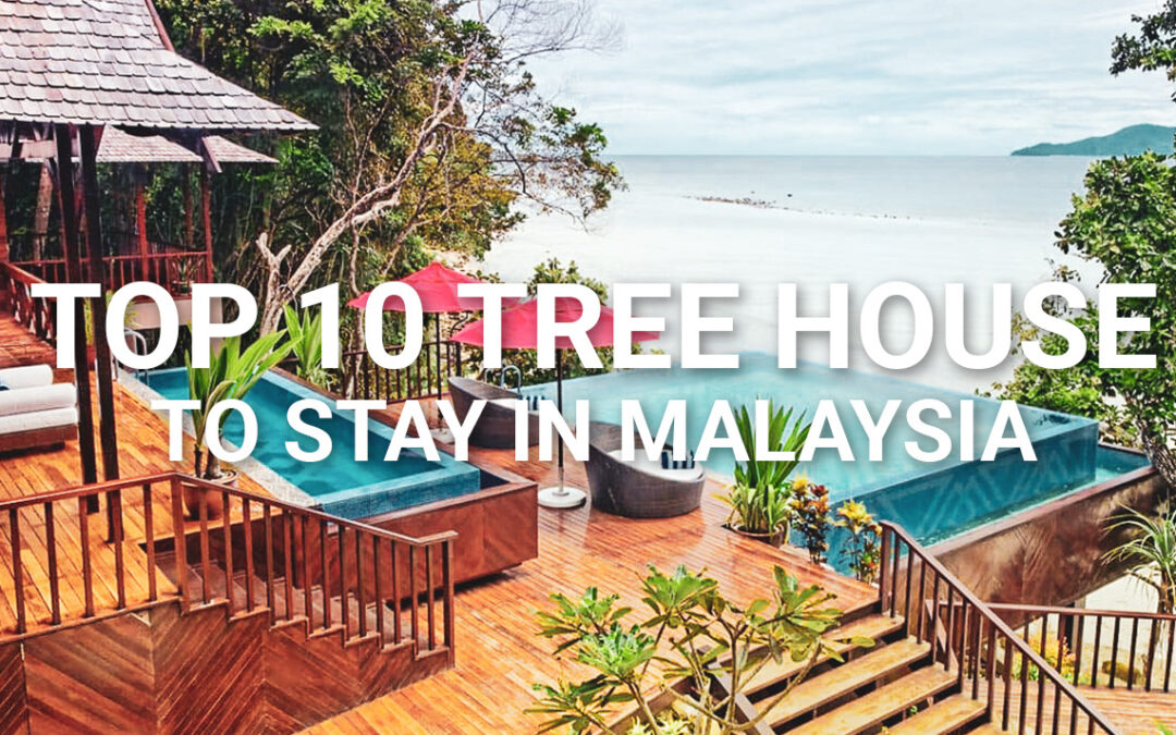 Top 10 Tree House to Stay in Malaysia