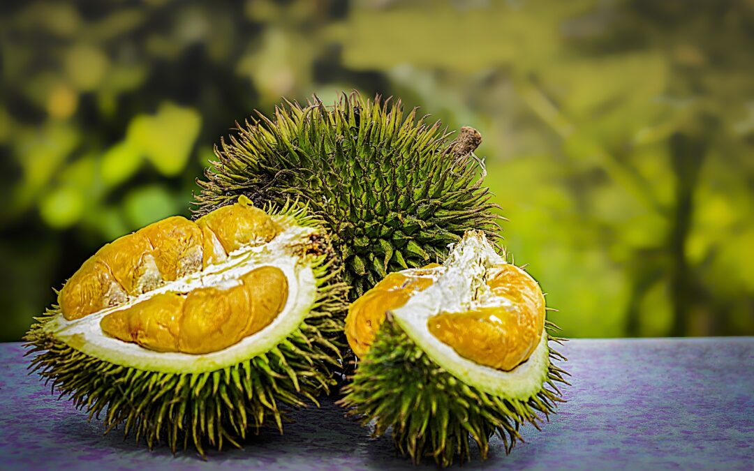 Raub International Durian Festival