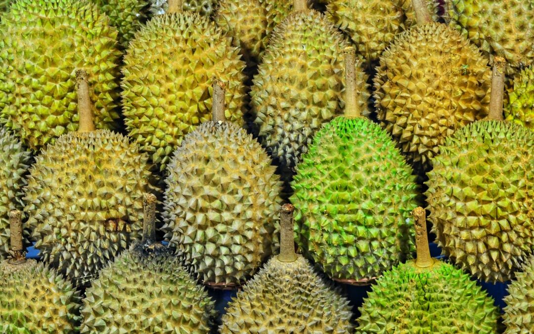 Durian Expo Kuala Lumpur 2020