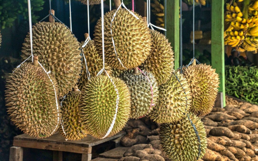 Penang Durian Festival