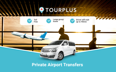 Domestic Travel Between RMCO States and Malaysia Airports Transfers Guide