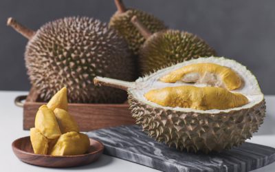 Types of Durians in Malaysia