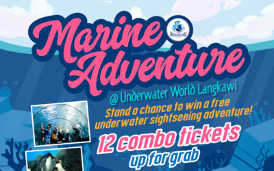 Free2Play – Marine Adventure