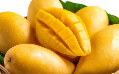 Types of Mangoes in Malaysia