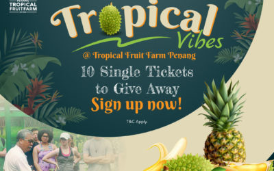 Try4Free x Free2PLAY – Tropical Vibes