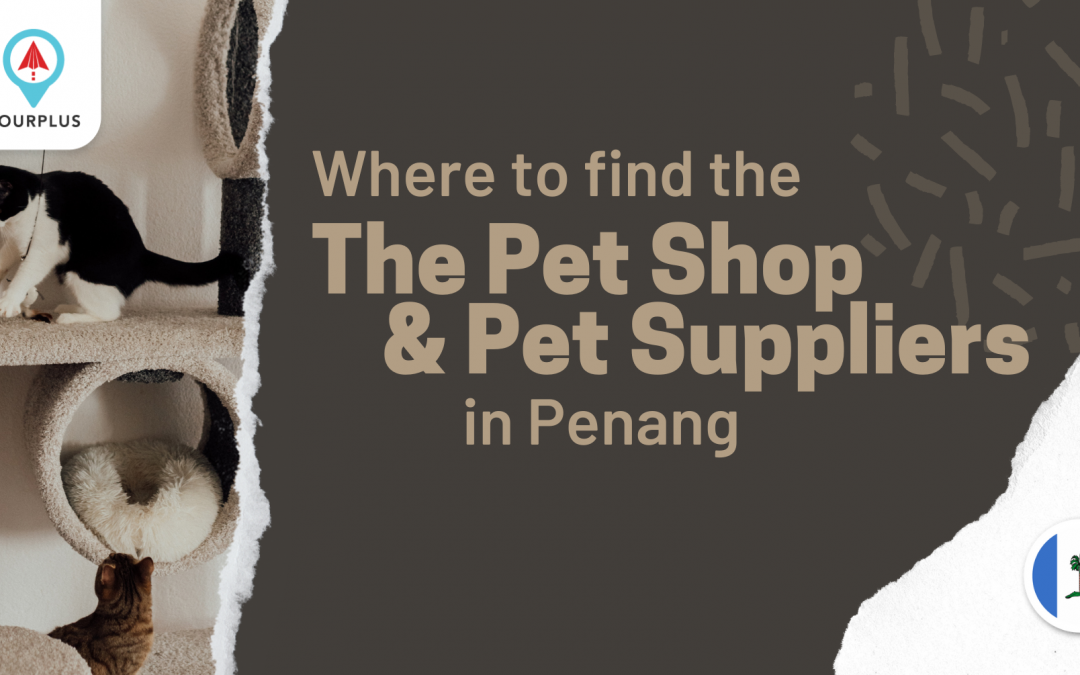 Where to find the Pet Shop & Pet Suppliers in Penang