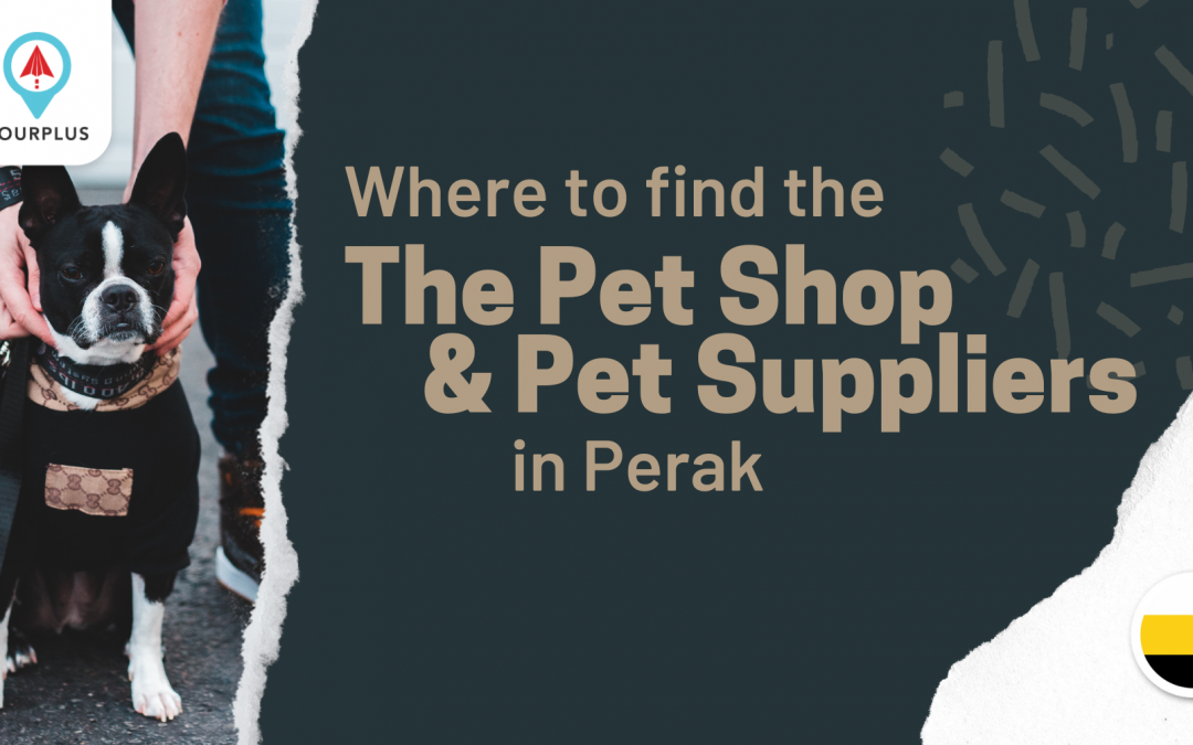 Where to find the Pet Shop & Pet Suppliers in Perak