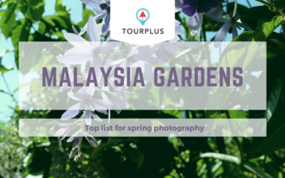 Instagrammable Attractions in Malaysia For Your Spring Photography